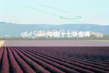 资阳中国十七块金牌