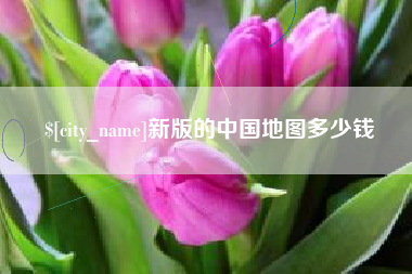 资阳新版的中国地图多少钱