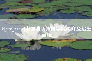 资阳中国消防救援学院简介及招生章程