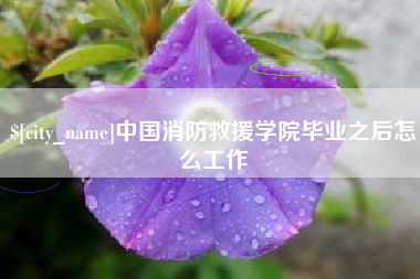 资阳中国消防救援学院毕业之后怎么工作