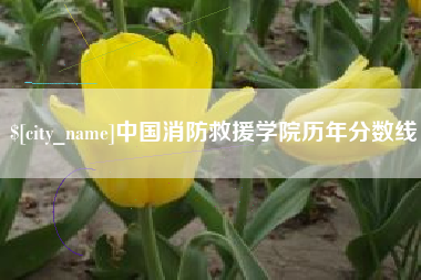 资阳中国消防救援学院历年分数线