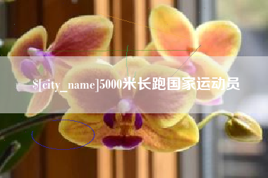 资阳5000米长跑国家运动员