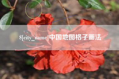 资阳中国地图格子画法