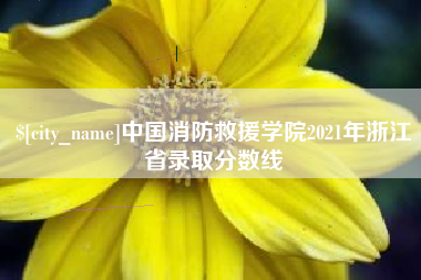 资阳中国消防救援学院2021年浙江省录取分数线