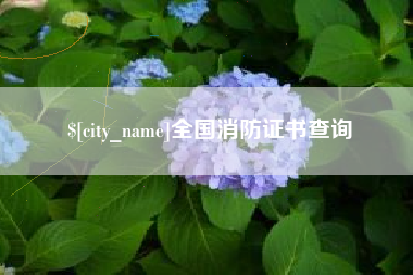 资阳全国消防证书查询