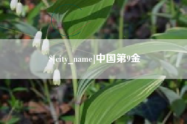 资阳中国第9金