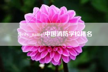 资阳中国消防学校排名
