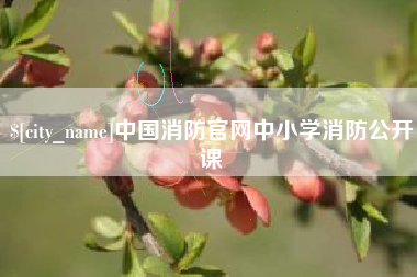 资阳中国消防官网中小学消防公开课