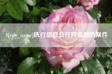 资阳执行信息公开网查到的案件