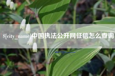 资阳中国执法公开网征信怎么查询