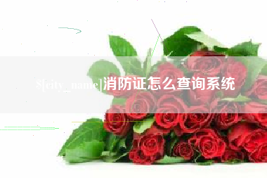 资阳消防证怎么查询系统