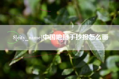 资阳中国地图手抄报怎么画