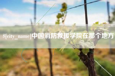 资阳中国消防救援学院在那个地方