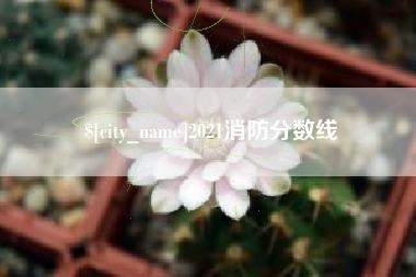 资阳2021消防分数线