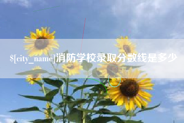 资阳消防学校录取分数线是多少