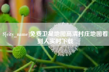 资阳免费卫星地图高清村庄地图看到人实时下载