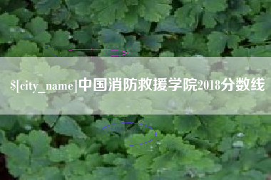 资阳中国消防救援学院2018分数线