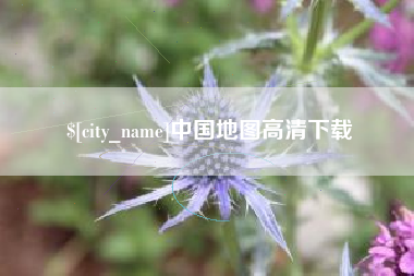 资阳中国地图高清下载