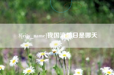 资阳我国消防日是哪天