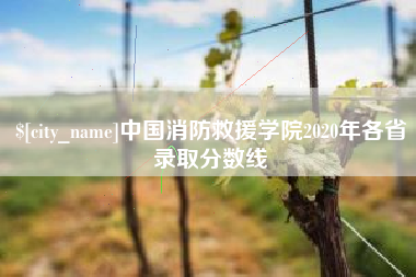 资阳中国消防救援学院2020年各省录取分数线