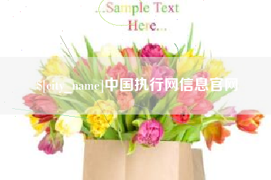资阳中国执行网信息官网