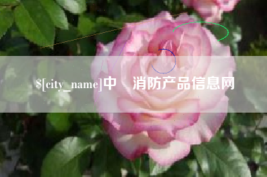 资阳中囯消防产品信息网