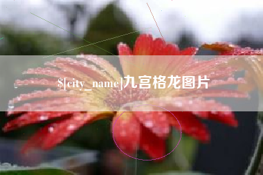 资阳九宫格龙图片