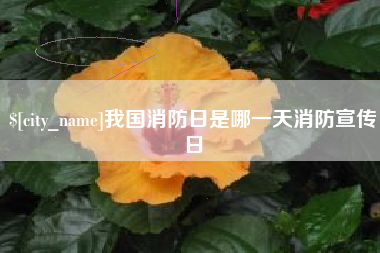 资阳我国消防日是哪一天消防宣传日