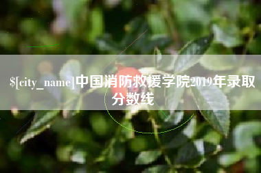 资阳中国消防救援学院2019年录取分数线