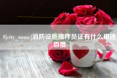 资阳消防设施操作员证有什么用途百度