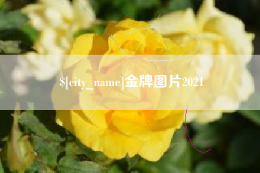 资阳金牌图片2021