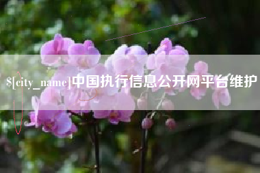 资阳中国执行信息公开网平台维护