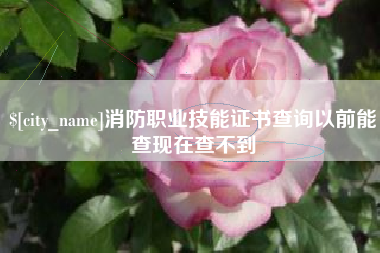 资阳消防职业技能证书查询以前能查现在查不到
