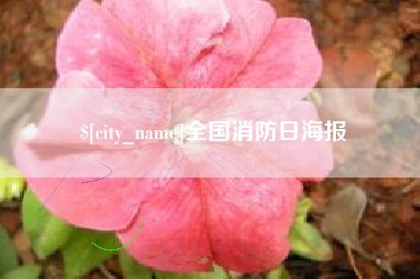 资阳全国消防日海报