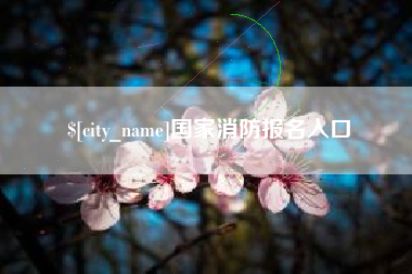 资阳国家消防报名入口