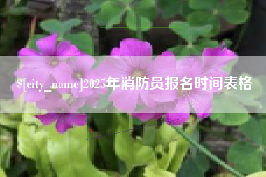 资阳2025年消防员报名时间表格