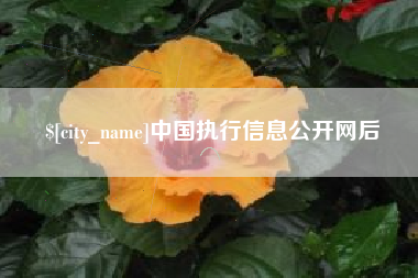 资阳中国执行信息公开网后