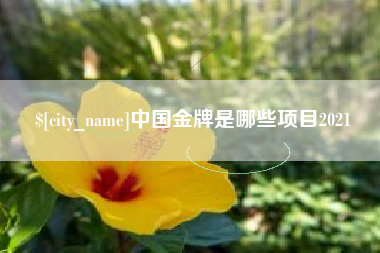 资阳中国金牌是哪些项目2021
