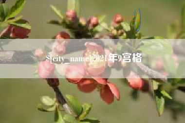 资阳2021年9宫格