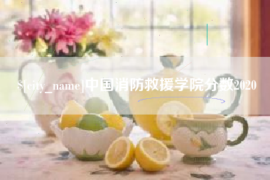 资阳中国消防救援学院分数2020