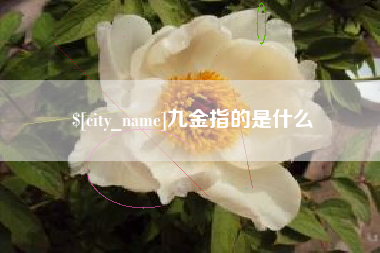 资阳九金指的是什么