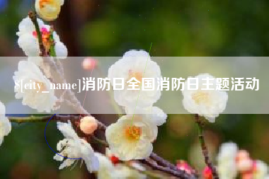 资阳消防日全国消防日主题活动