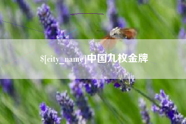 资阳中国九枚金牌