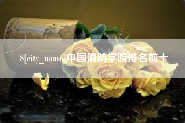 资阳中国消防学院排名前十