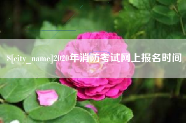 资阳2020年消防考试网上报名时间