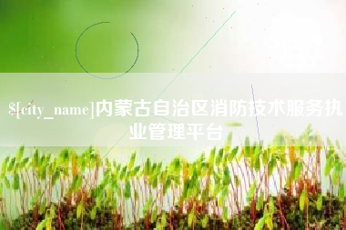 资阳内蒙古自治区消防技术服务执业管理平台