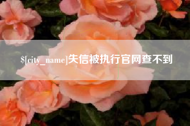 资阳失信被执行官网查不到