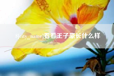 资阳看看王子豪长什么样