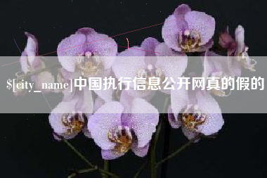 资阳中国执行信息公开网真的假的