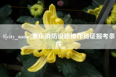 资阳重庆消防设施操作员证报考条件